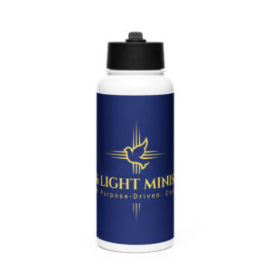 Stainless steel water bottle with a straw lid