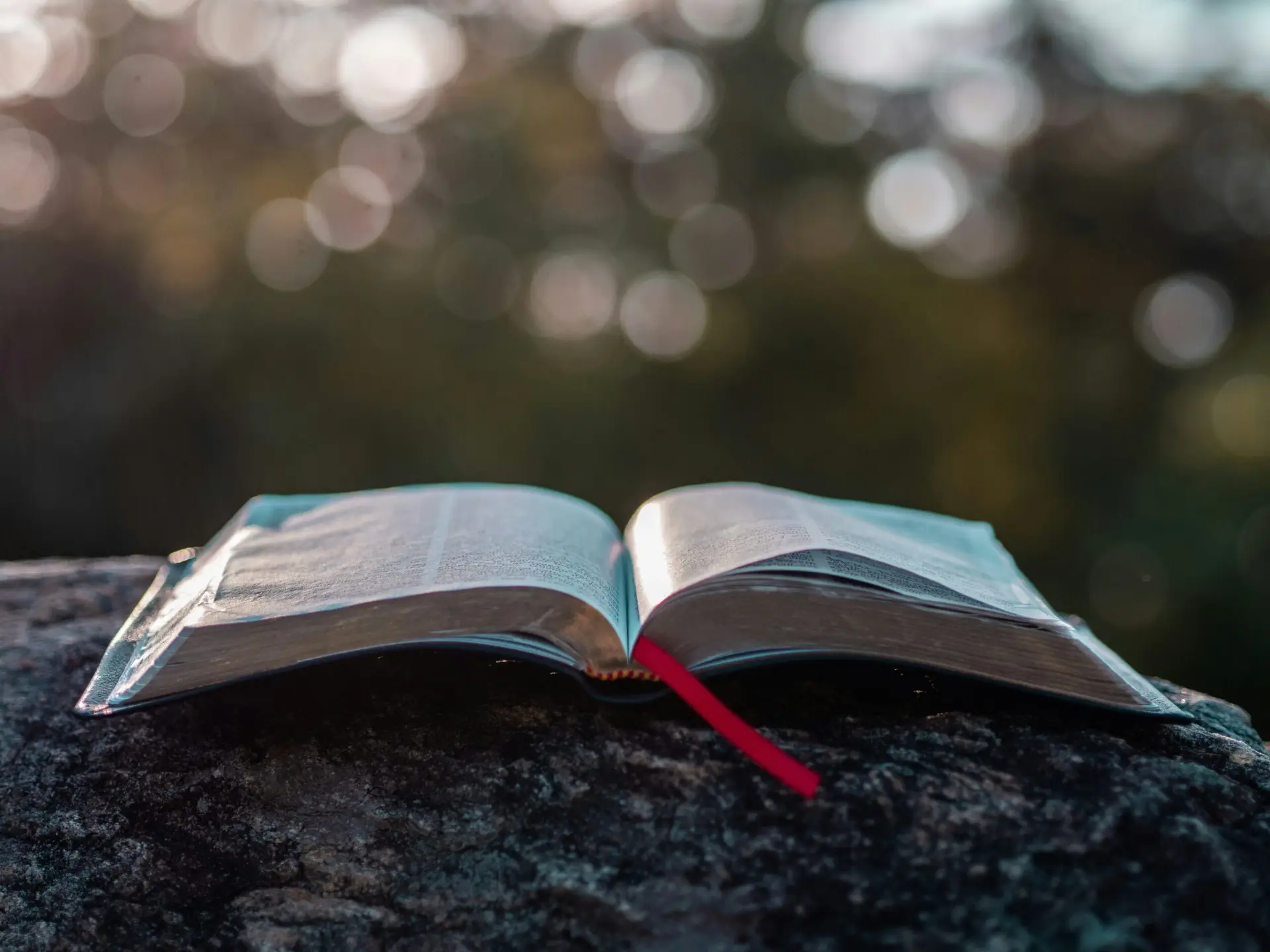 Bible on a rock. Trees in the background with the sun signing through.