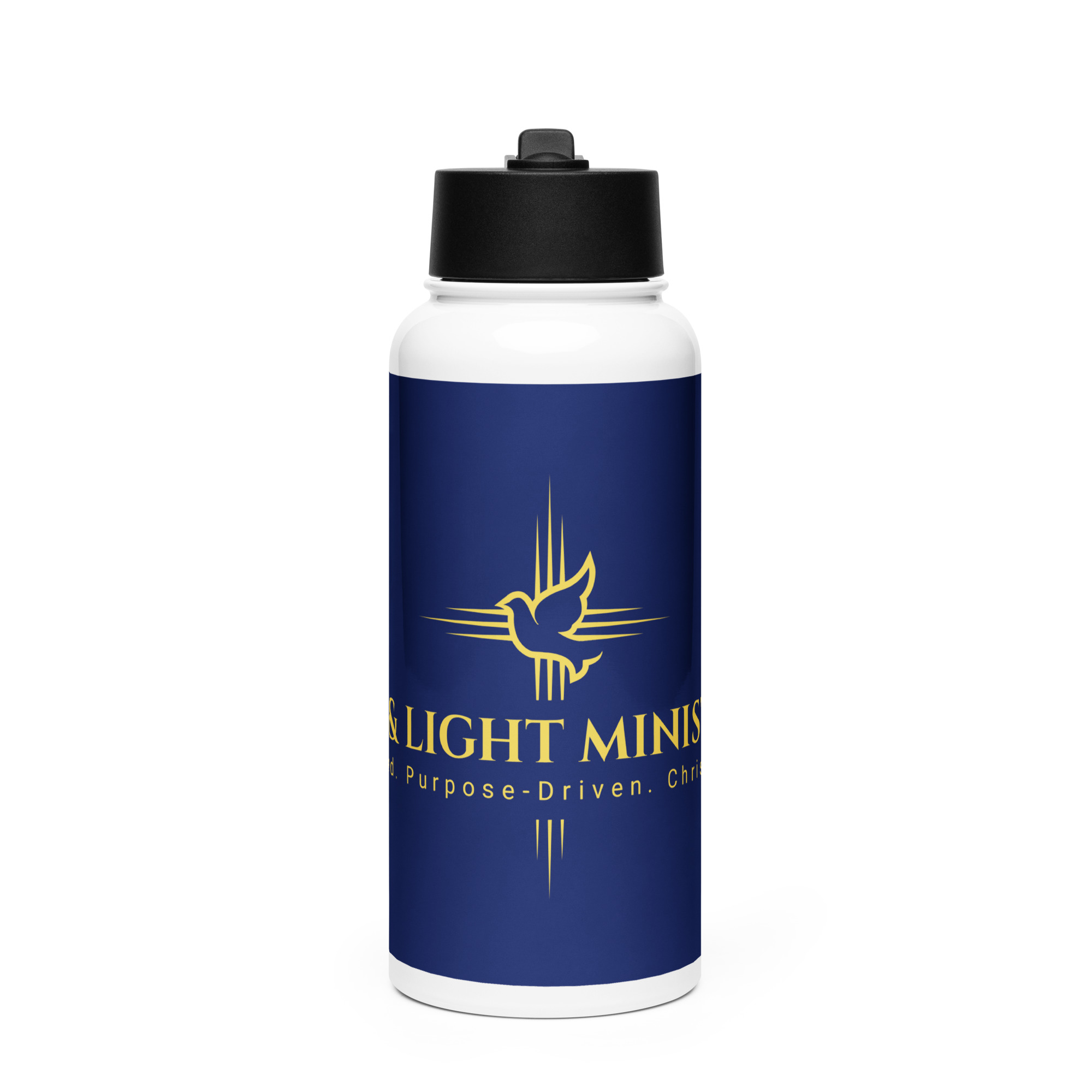 Stainless steel water bottle with a straw lid